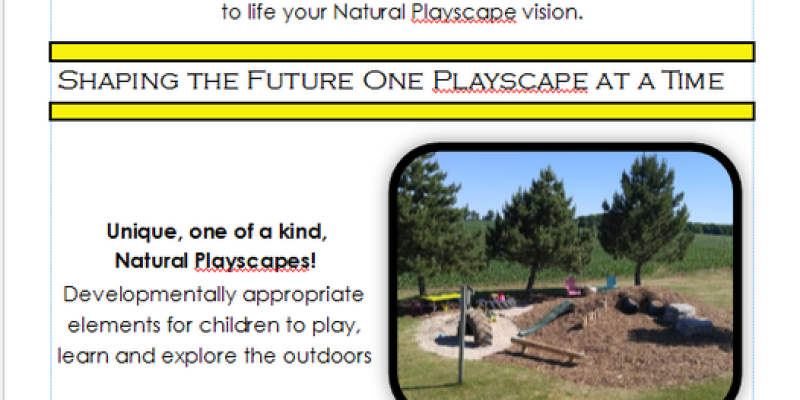 Quail Construction is your source for custom Playscapes!
